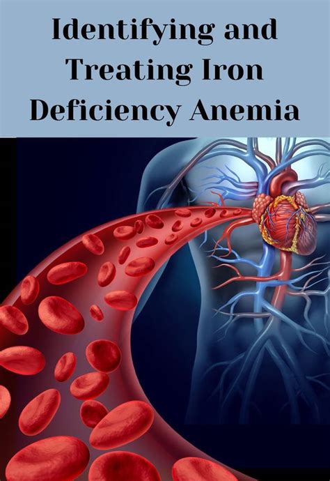 Understanding Iron Deficiency