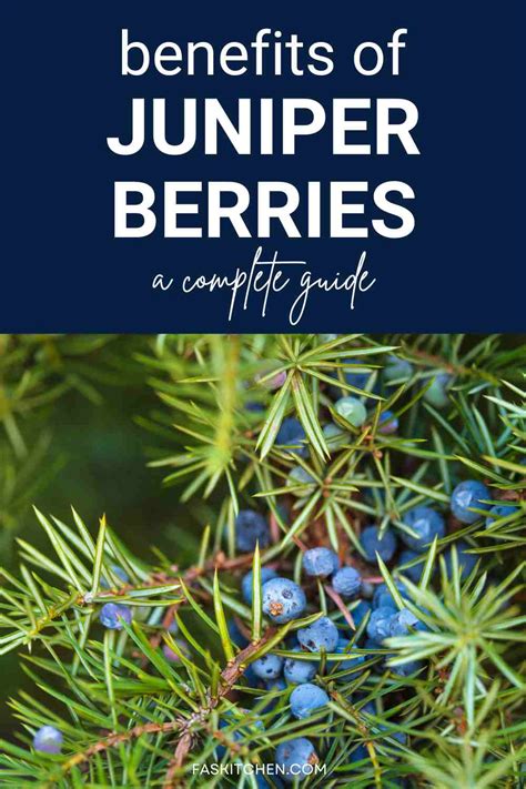 Understanding Juniper Nutrition