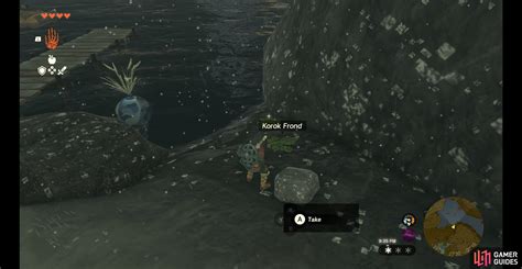 Understanding Korok Fronds