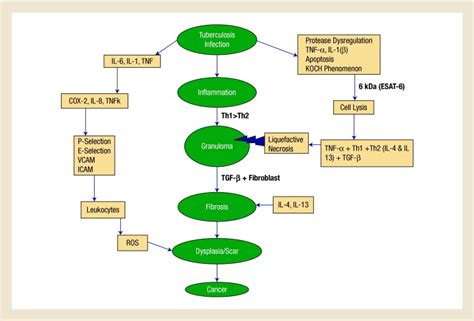 Understanding LUNC: A Historic Perspective