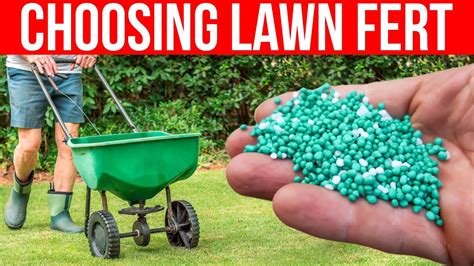 Understanding Landscape Fertilizer