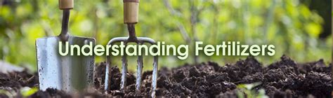 Understanding Landscape Fertilizers