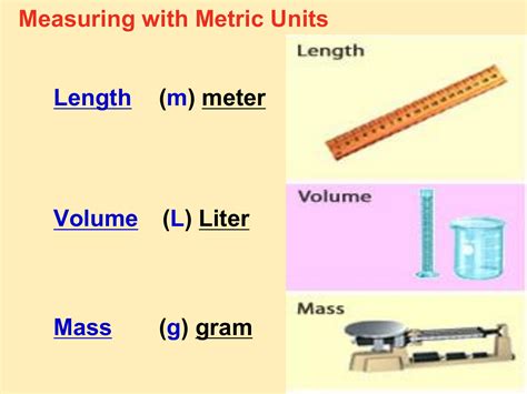 Understanding Liquid and Mass Units