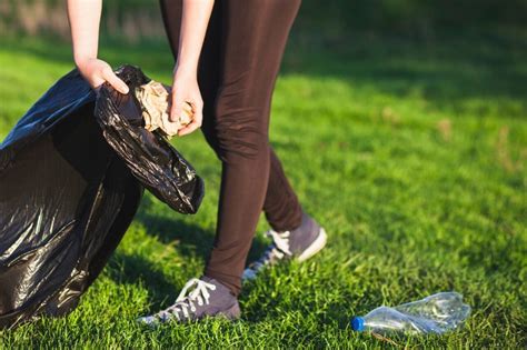 Understanding Littering in Singapore