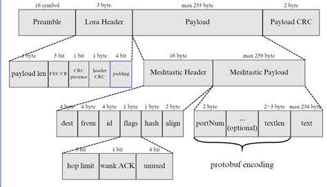 Understanding LoRa Meshtastic