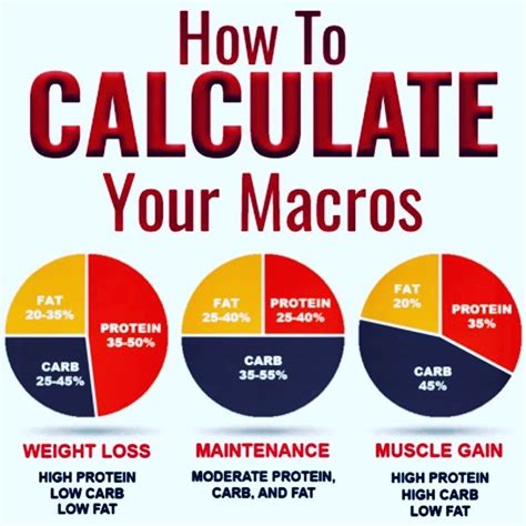 Understanding Macros and Calorie Counting