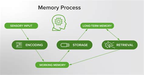 Understanding Memory