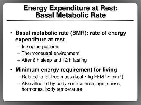 Understanding Metabolic Rate and Energy Expenditure