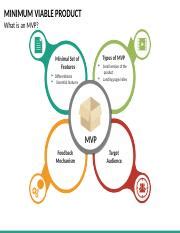 Understanding Minimum Viable Units