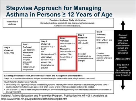 Understanding Moderate Persistent Asthma: Prevalence and Impact