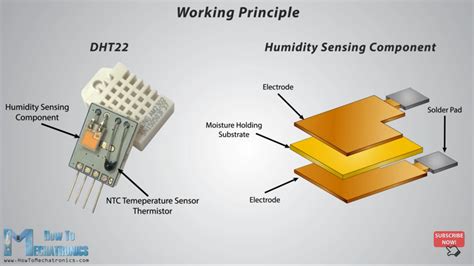 Understanding Moisture Sensors: Types and Operating Principles