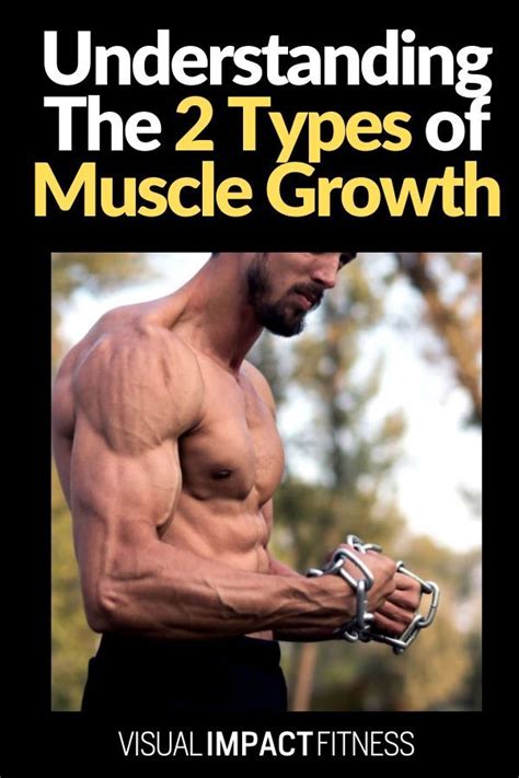 Understanding Muscle Growth