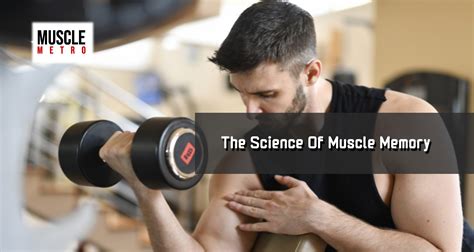 Understanding Muscle Growth and Development