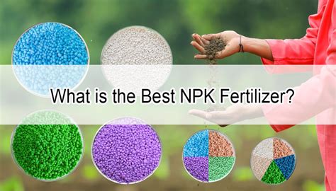 Understanding NPK Compound Fertilizers and Their Benefits