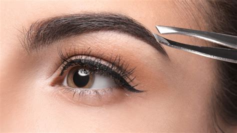 Understanding Natural Eyebrow Shapes