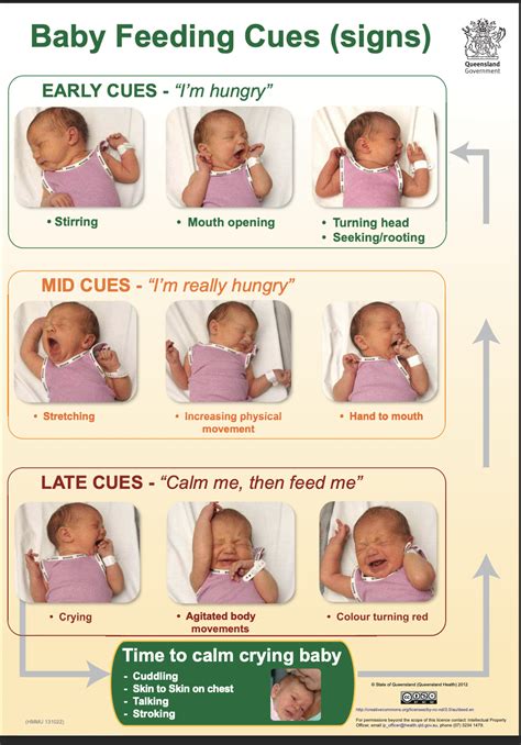 Understanding Newborn Feeding Needs