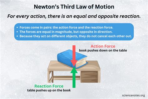 Understanding Newtons