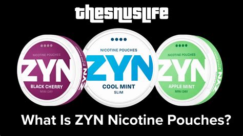 Understanding Nicotine Zyn and Its Mechanism