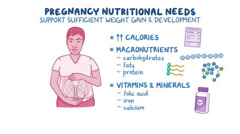 Understanding Nutritional Needs During Pregnancy