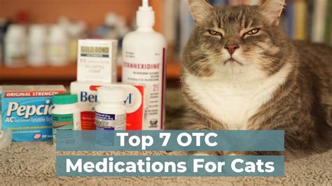 Understanding OTC Pain Meds for Cats