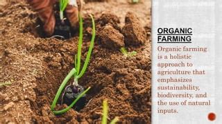 Understanding Organic Fertilizers: A Natural Approach