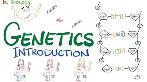 Understanding Pal Genetics