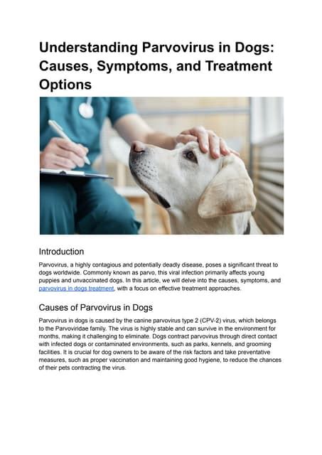 Understanding Parvovirus