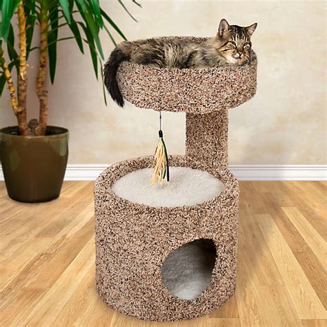 Understanding PetSmart Cat Condos: