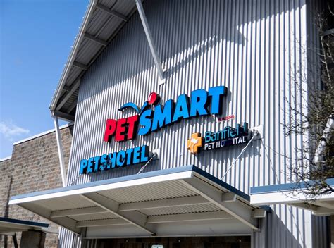 Understanding PetSmart Pet Insurance for Dogs