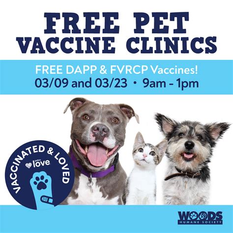 Understanding Petco Vaccine Prices: A Comprehensive Guide for Pet Owners