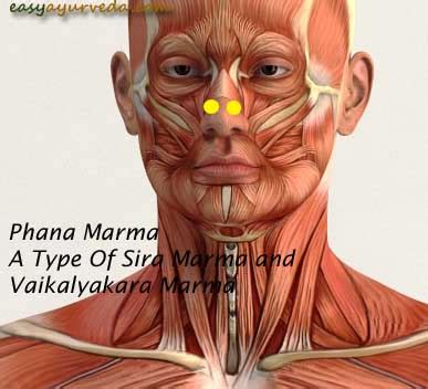 Understanding Phana Marma