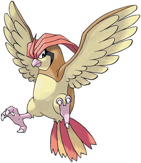 Understanding Pidgeotto's Stats and Abilities