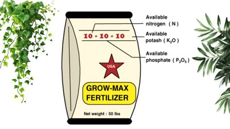 Understanding Plant Fertilizer