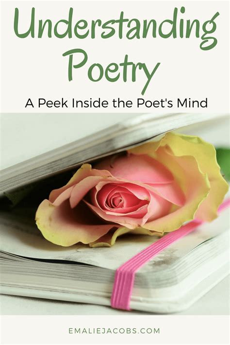 Understanding Poetry Reader