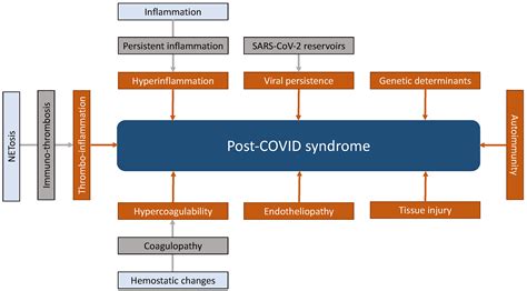 Understanding Post-COVID Syndrome