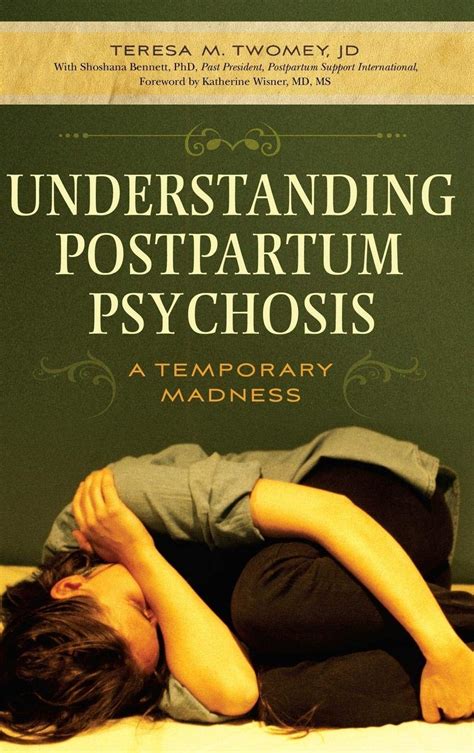 Understanding Postpartum Psychosis: A Temporary Madness Epub