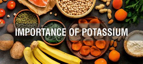 Understanding Potassium: The Vital Nutrient