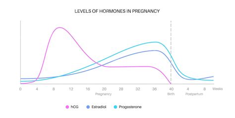 Understanding Pregnancy Hormone Levels