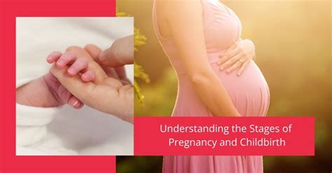 Understanding Pregnancy and Childbirth Reader