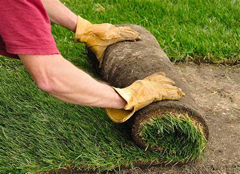 Understanding Pro Turf