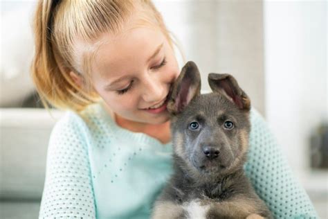 Understanding Puppies' Needs