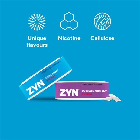 Understanding Ranch Zyn: A Smoke-Free Alternative