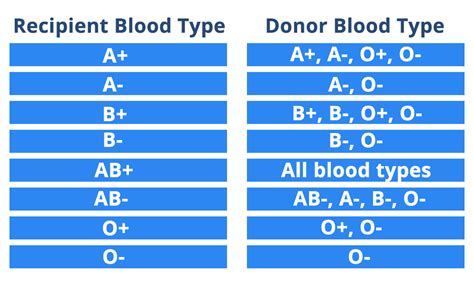 Understanding Rh Factor and Blood Compatibility