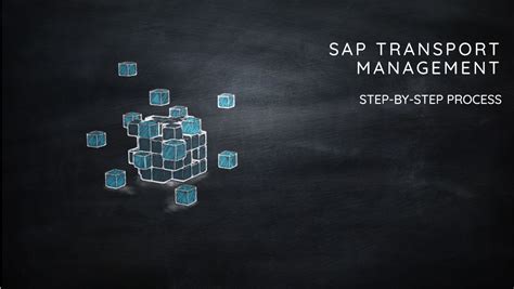 Understanding SAP Change