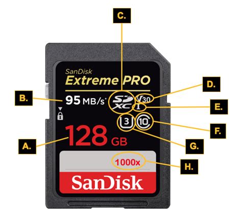 Understanding SD Cards and Their Role