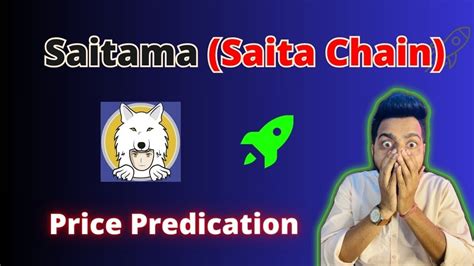 Understanding Saitama Chain Coin