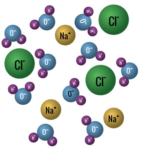 Understanding Saltwater Chemistry and Biology