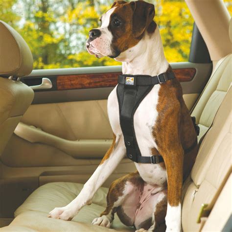 Understanding Seatbelt Harnesses for Dogs