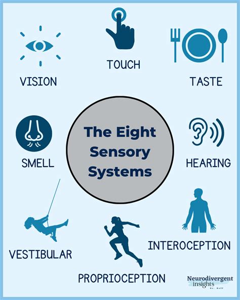 Understanding Sens