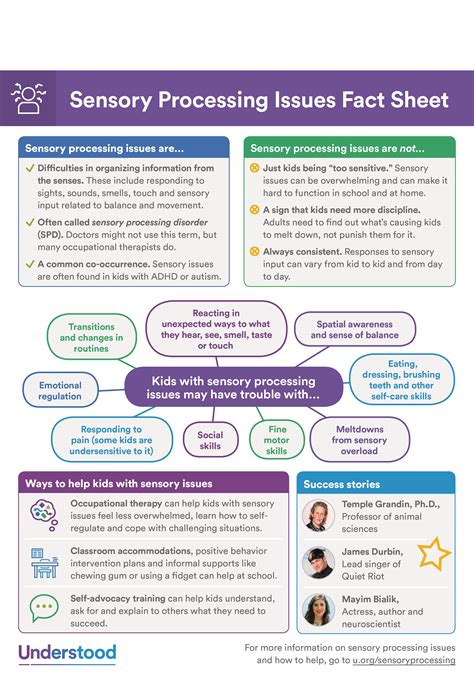 Understanding Sensory Processing